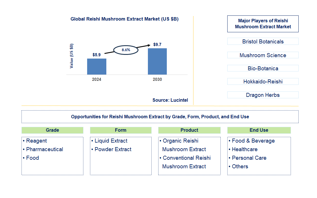 Reishi Mushroom Extract Trends and Forecast